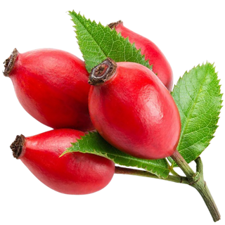 Rosehip