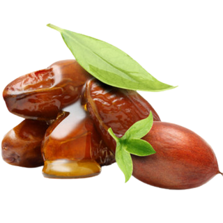 Jojoba